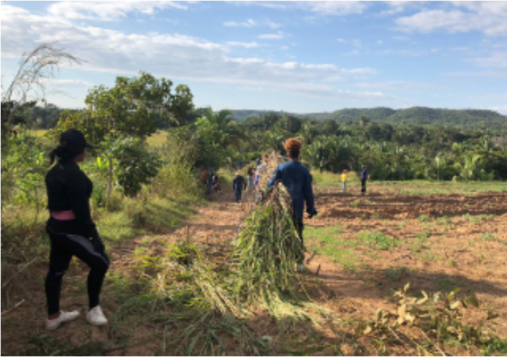 Youth Muxirum: the revival of traditional knowledge in Mato Grosso