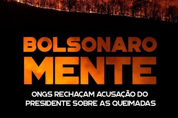 Nota ABONG: Bolsonaro não precisa das ONGs para queimar a imagem do Brasil no mundo inteiro