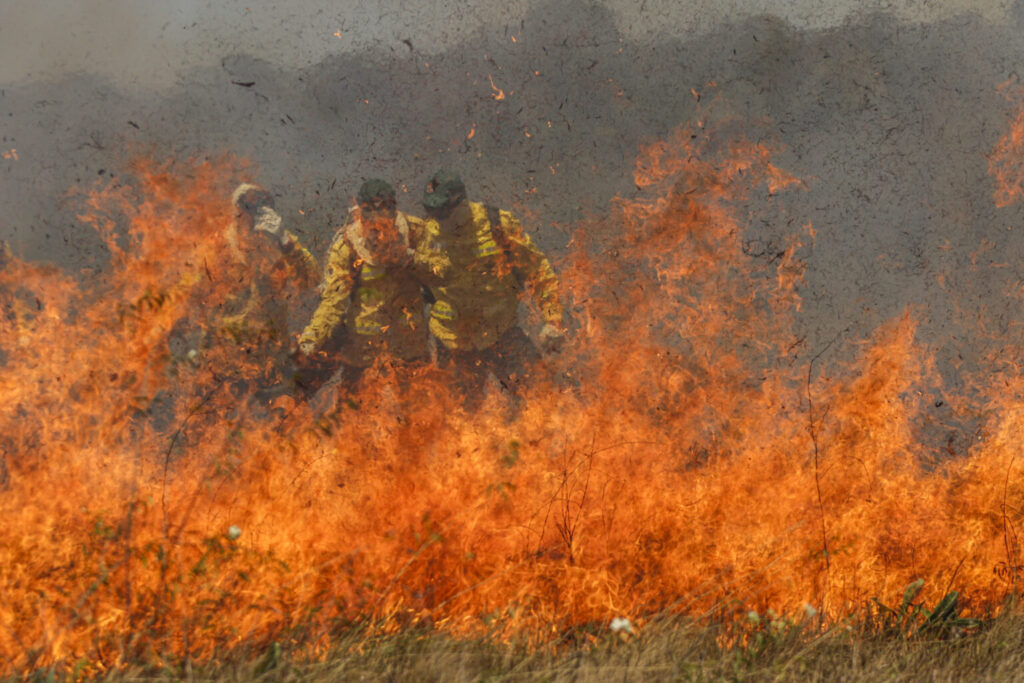 Combater a devastação do Cerrado só é possível quando se combate o avanço predatório do agronegócio que é destinado ao mercado externo