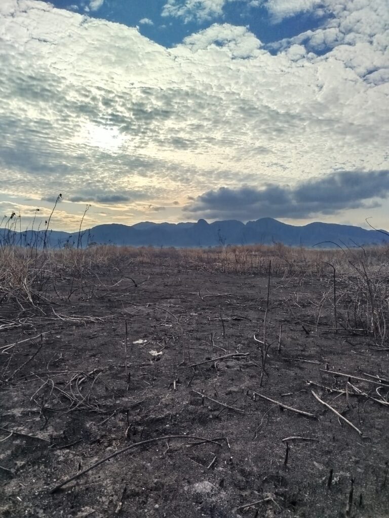 Antes do fogo: lembranças d’um Pantanal em meio às queimadas