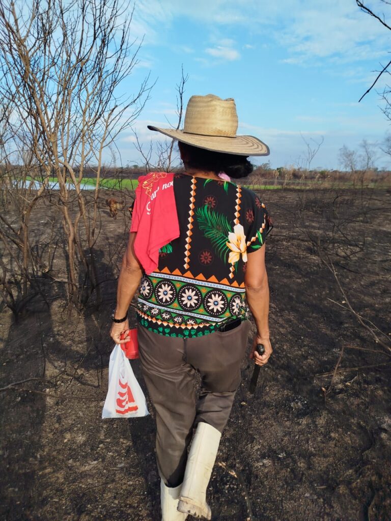 Antes do fogo: lembranças d’um Pantanal em meio às queimadas