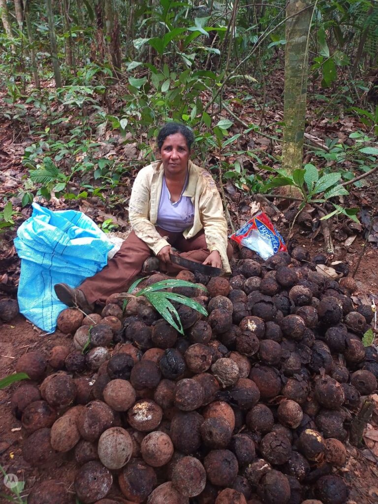 Fogo na Amazônia: '45 dias sem uma estrela no céu'