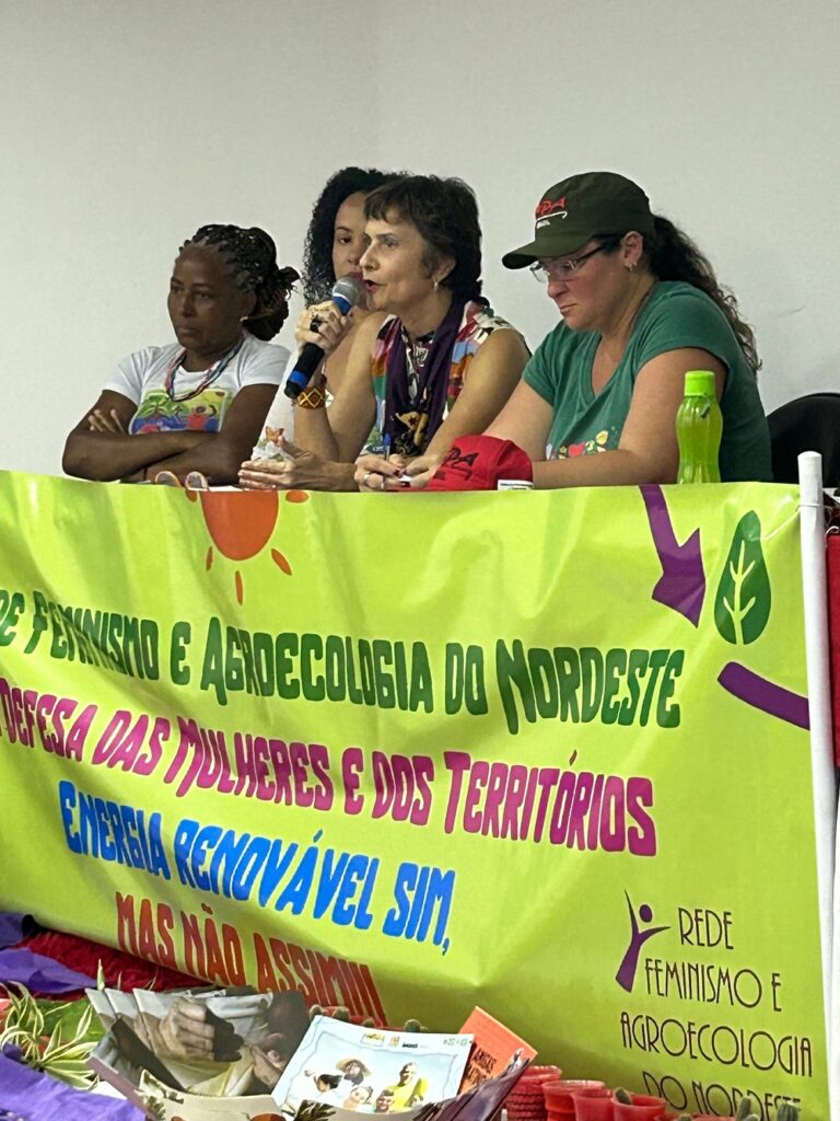 Graciete Santos, presidenta da Casa da Mulher do Nordeste