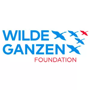 Wilde Ganzen